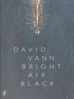 cover image of Bright Air Black